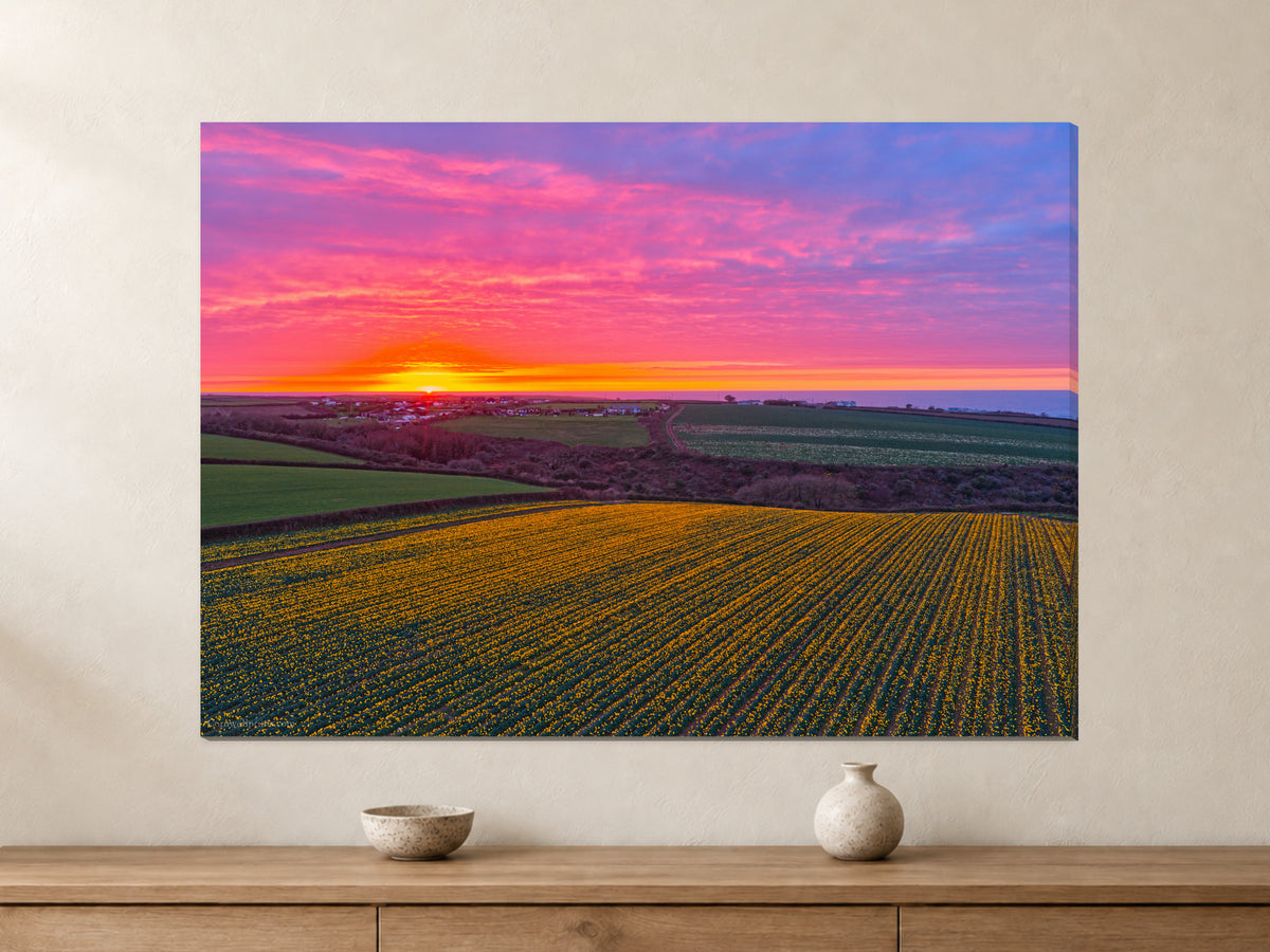 Daffodil Field Sunset — Toward Porthcothan & Bedruthan — A0 canvas, 38mm-deep canvas with mirrored edges. Closer product view.