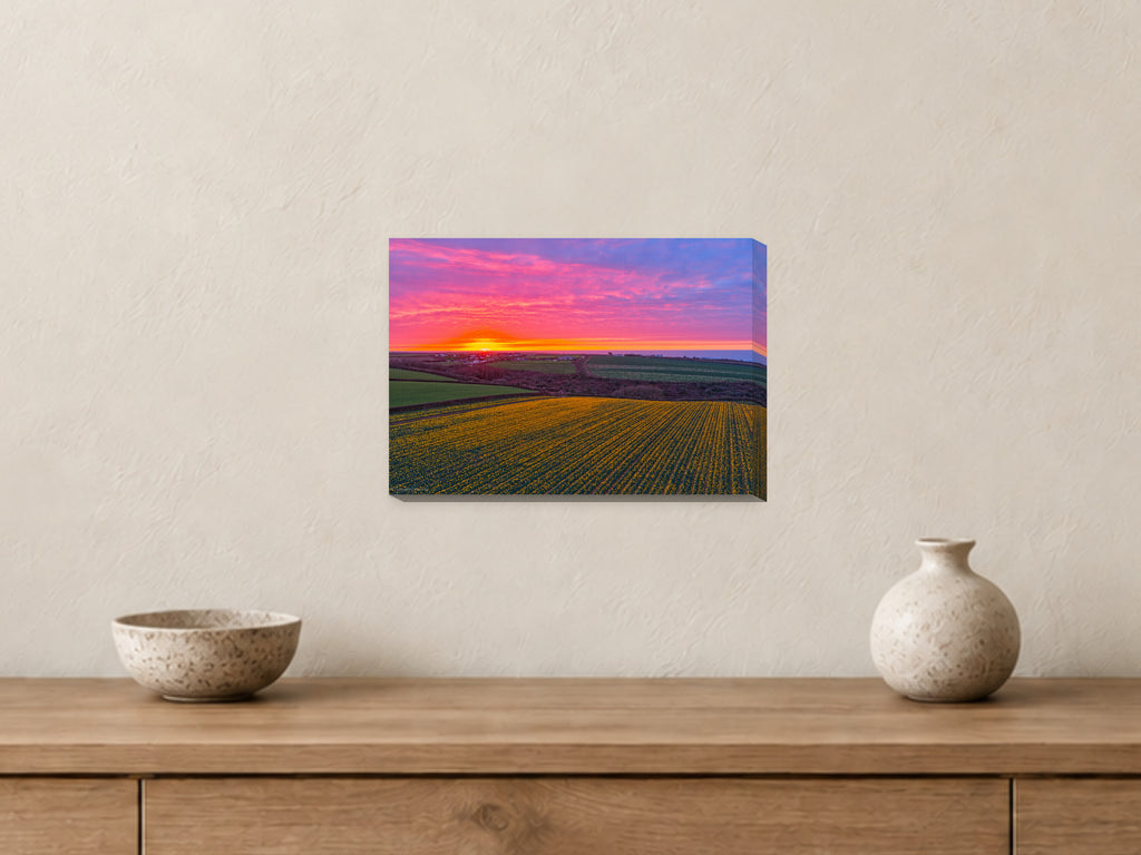 Daffodil Field Sunset — Toward Porthcothan & Bedruthan — A4 canvas, 38mm-deep canvas with mirrored edges. Closer product view.