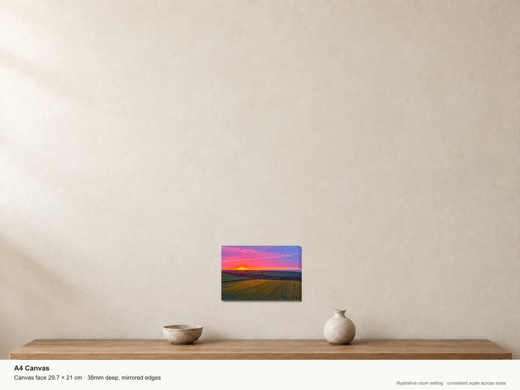 Daffodil Field Sunset — Toward Porthcothan & Bedruthan — A4 canvas, 38mm-deep canvas with mirrored edges. Illustrative room scale and dimensions.