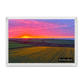 Porthcothan fridge magnet showing a daffodil field beneath a pink, orange and yellow sunset looking towards the coast