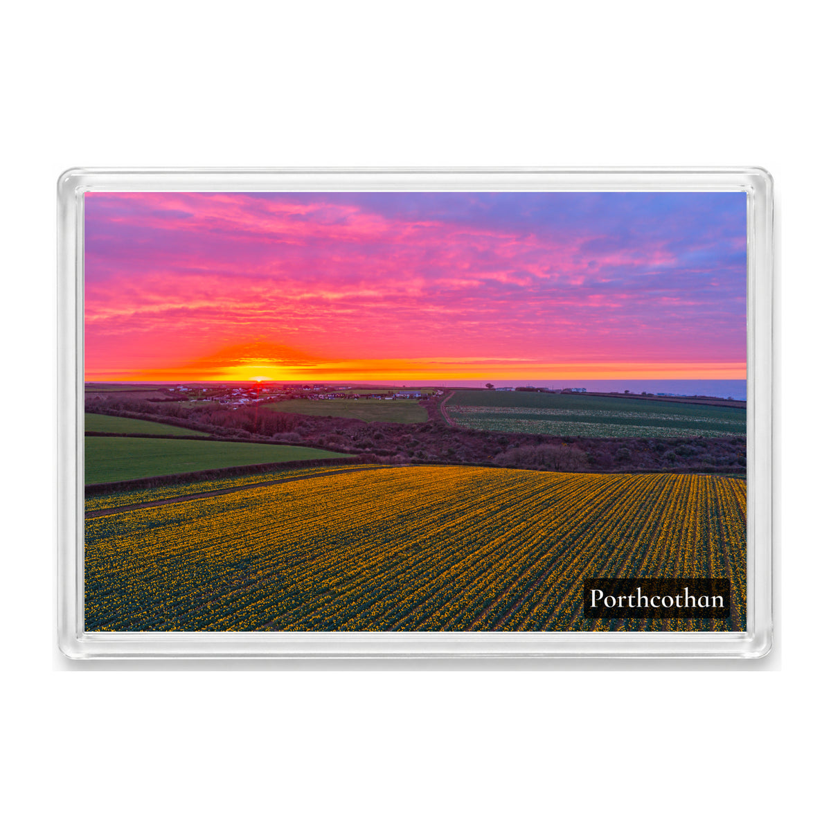 Porthcothan fridge magnet showing a daffodil field beneath a pink, orange and yellow sunset looking towards the coast
