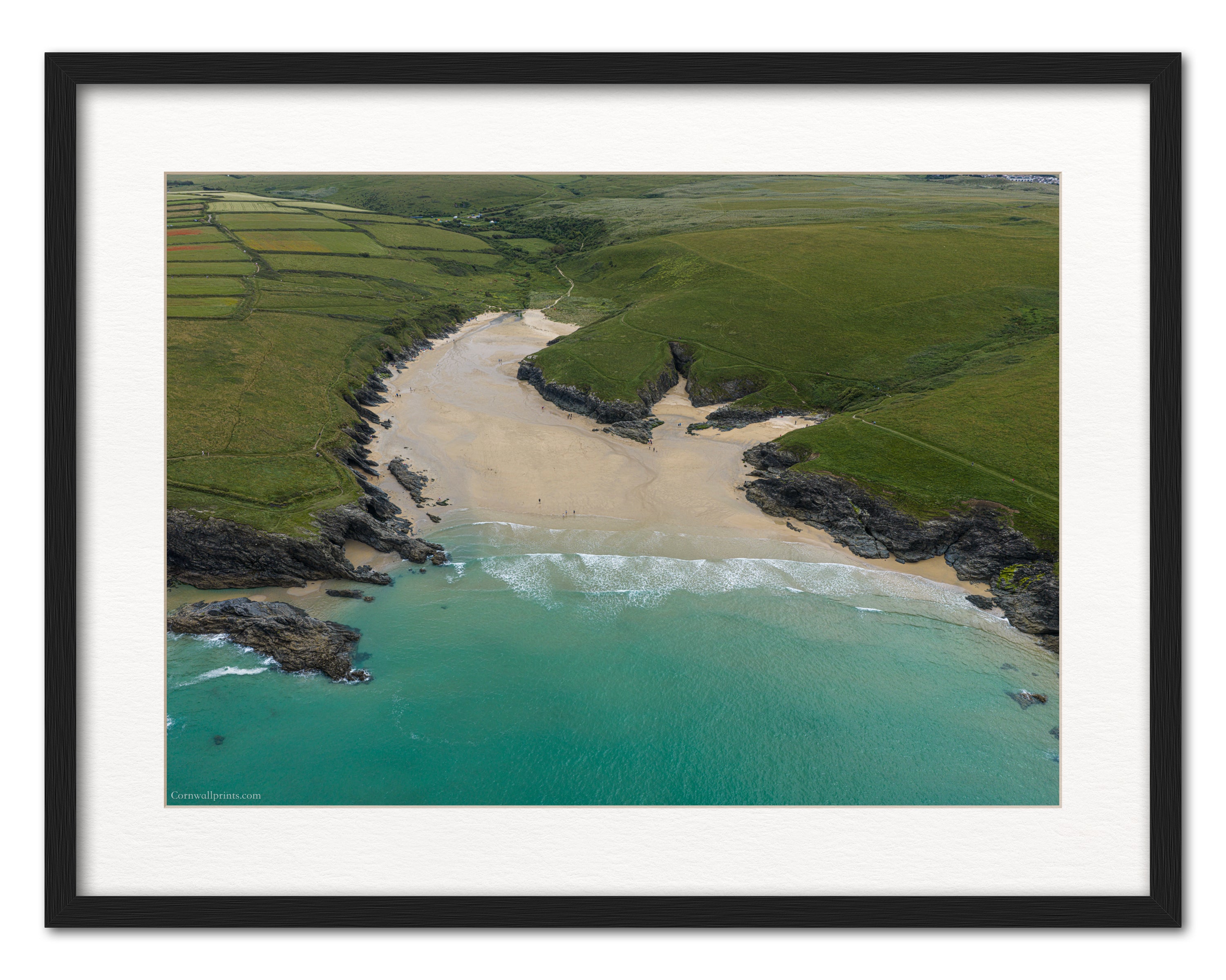 Polly Joke — Beach Shape and Summer Water