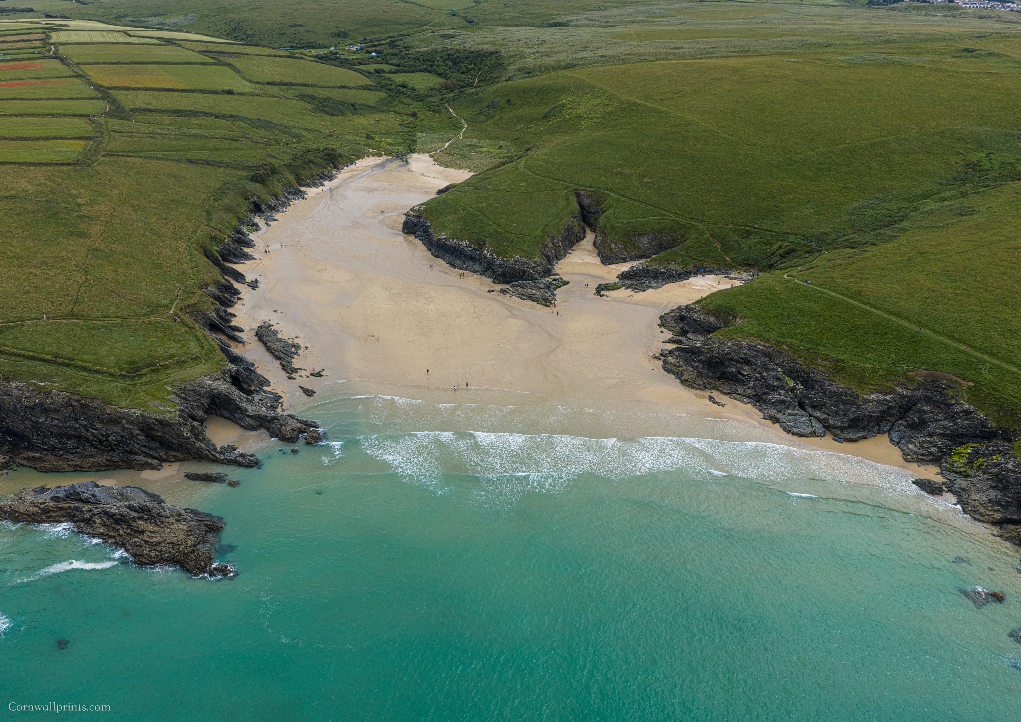 Polly Joke — Beach Shape and Summer Water