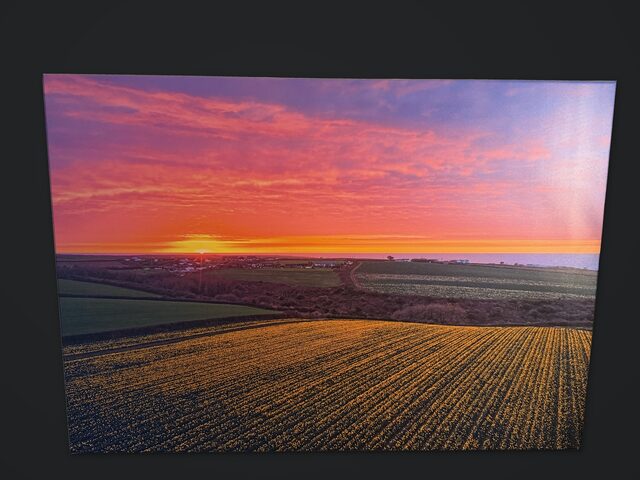 A1 canvas of a sunset over a daffodil field, showing the canvas surface